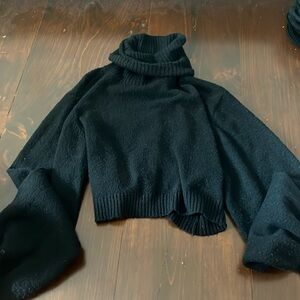 Princes Polly cropped turtle neck sweater
